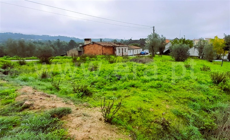 Moradia T3 Tomar, Asseiceira - 1364680 - 13