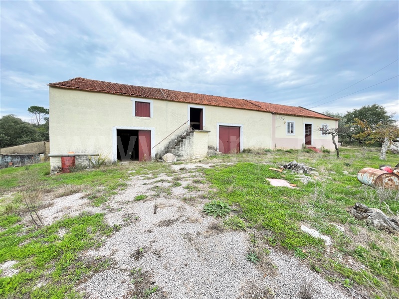 Moradia T3 com Terreno Tomar, Carregueiros - 1238237 - 4