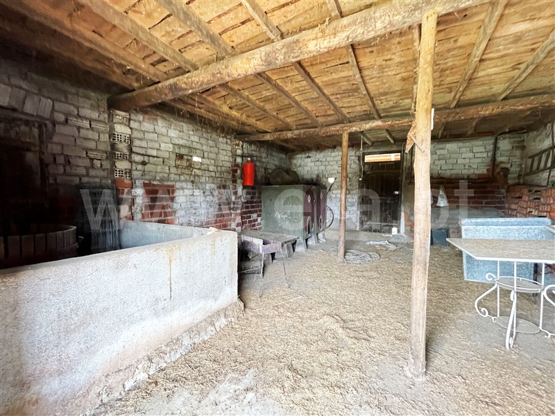 Moradia T3 com Terreno Tomar, Carregueiros - 1238237 - 13