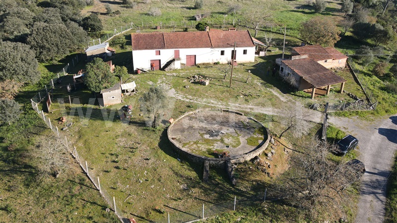 Moradia T3 com Terreno Tomar, Carregueiros - 1238237 - 36