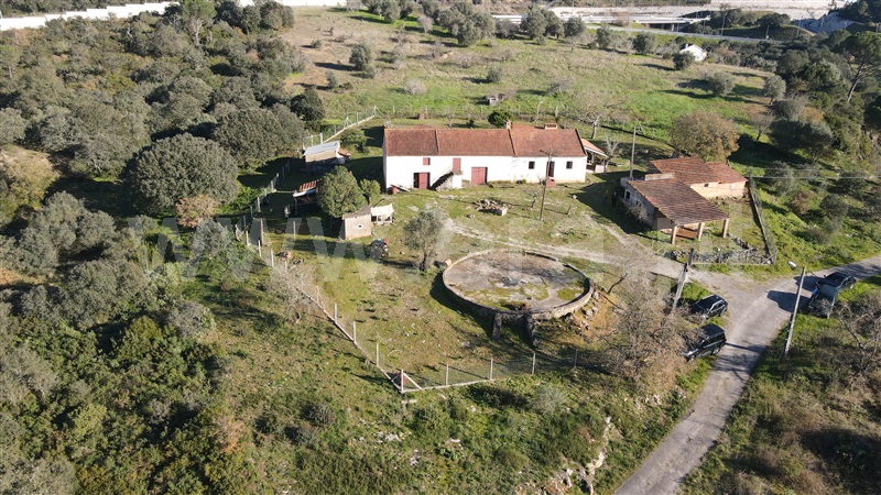 Moradia T3 com Terreno Tomar, Carregueiros - 1238237 - 38