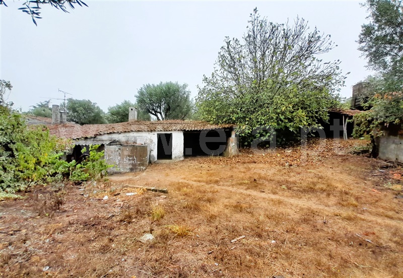 Moradia T3 Tomar, Casais e Alviobeira - 1434694 - 11
