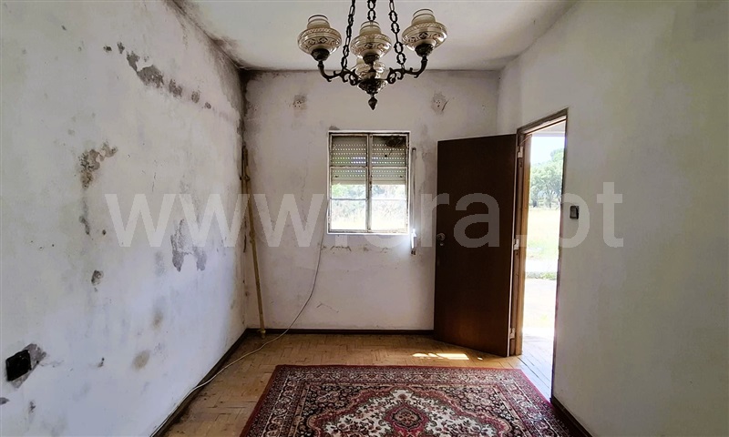 Moradia T3 à venda em Madalena e Beselga, Tomar — foto 6