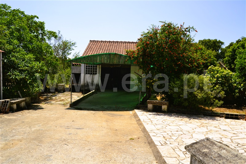 Moradia T3 Tomar, Olalhas - 1331362 - 11