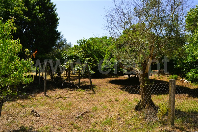Moradia T3 Tomar, Olalhas - 1331362 - 13