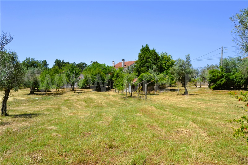Moradia T3 Tomar, Olalhas - 1331362 - 16