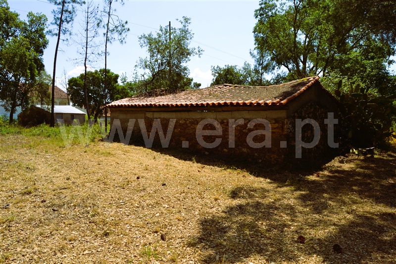 Moradia T3 Tomar, Olalhas - 1331362 - 17