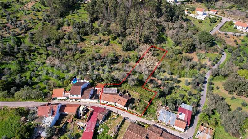 Moradia T3 / Tomar, Olalhas