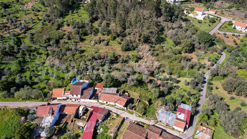 Moradia T3 Tomar, Olalhas - 1392665 - 4