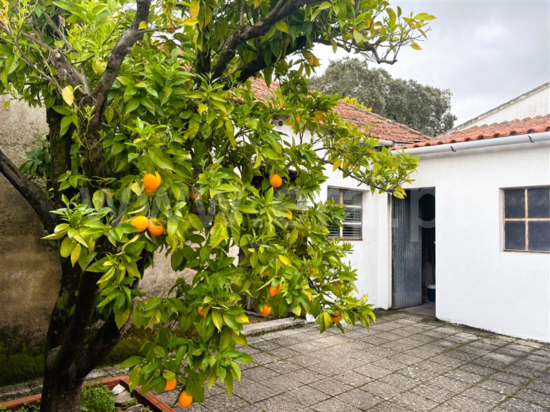 Moradia T3 Tomar, Paialvo - 1475782 - 7