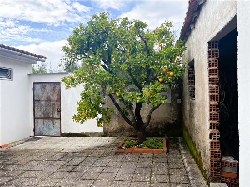 Moradia T3 Tomar, Paialvo - 1475782 - 10