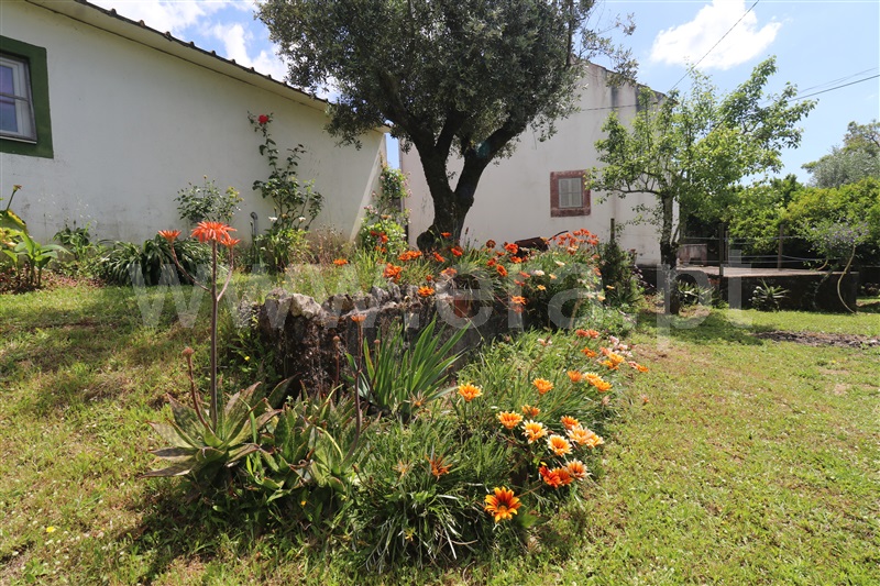 Moradia T3 com Jardim Tomar, Sabacheira - 1477280 - 17