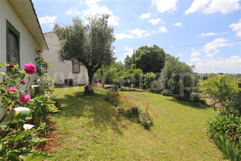 Moradia T3 com Jardim Tomar, Sabacheira - 1477280 - 18