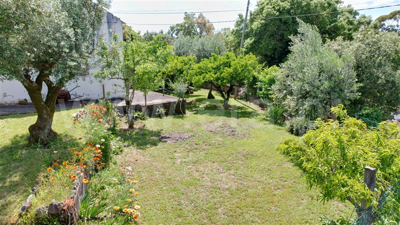 Moradia T3 com Jardim Tomar, Sabacheira - 1477280 - 20