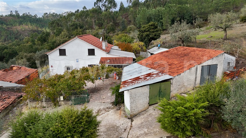 Moradia T3 / Tomar, Sabacheira