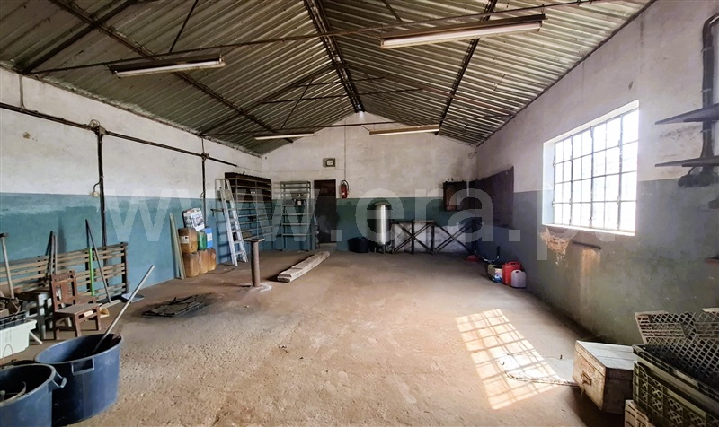 Moradia T3 Tomar, São Pedro de Tomar - 1501591 - 17