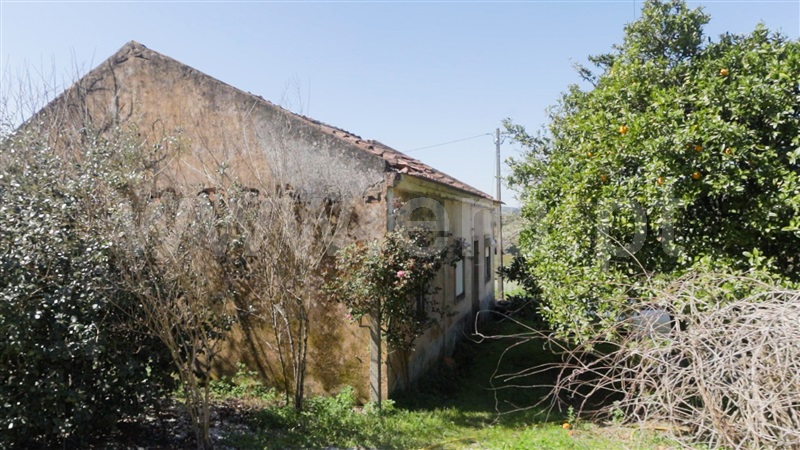 Moradia T3 à venda em Tomar (São João Baptista) e Santa Maria dos Olivais, Tomar — foto 20