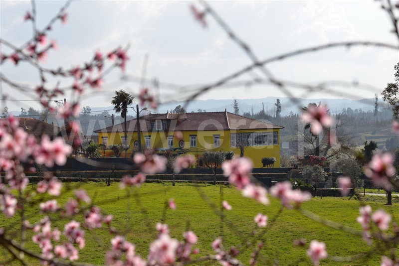 Moradia T3 Tondela, Cortiçada - 1176044 - 5