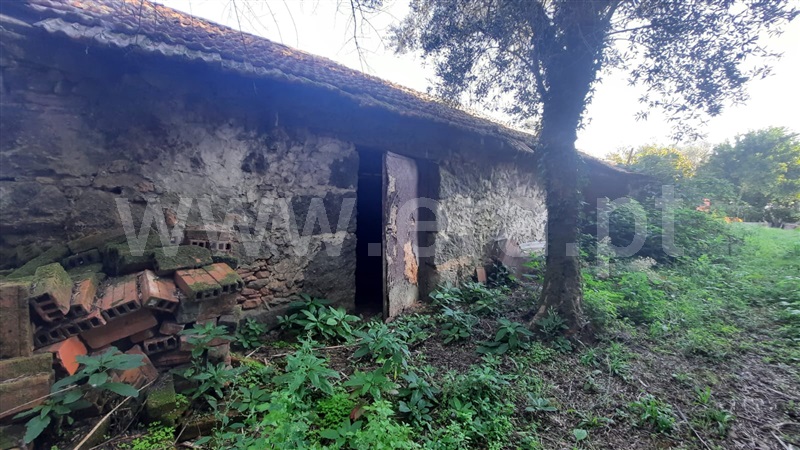 Moradia T3 Tondela, Póvoa de Arcedíago - 1345085 - 23