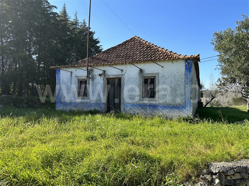 Moradia T3 Torres Novas, Assentiz - 1307032 - 3