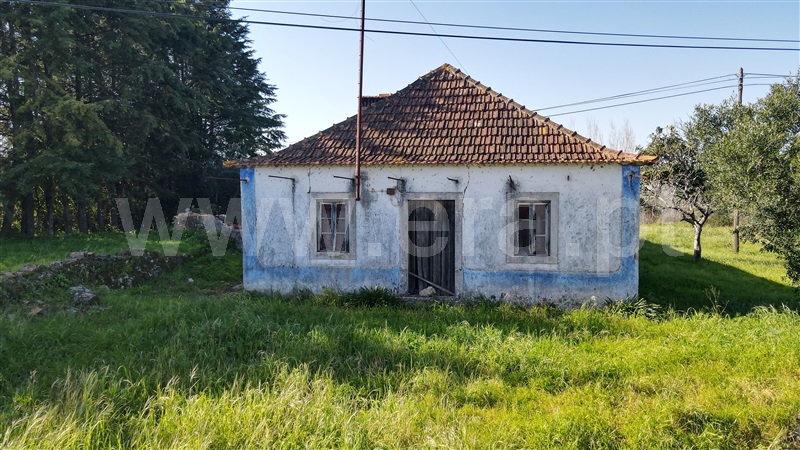 Moradia T3 Torres Novas, Assentiz - 1307032 - 6