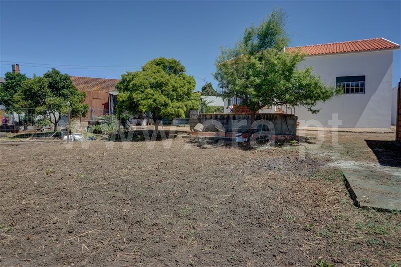 Moradia T3 com Terreno Torres Novas, Brogueira, Parceiros de Igreja e Alcorochel - 1466054 - 11