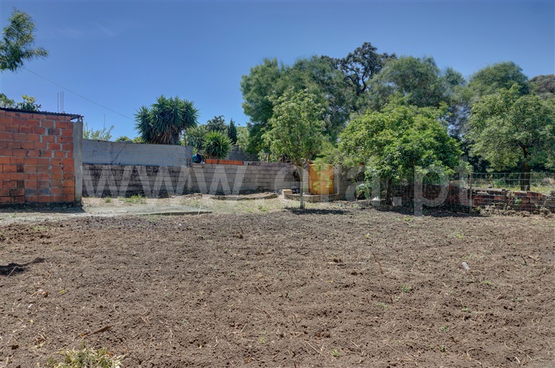 Moradia T3 com Terreno Torres Novas, Brogueira, Parceiros de Igreja e Alcorochel - 1466054 - 15
