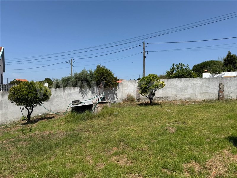 Moradia T3 Torres Vedras, Cabeça Gorda - 1489419 - 12