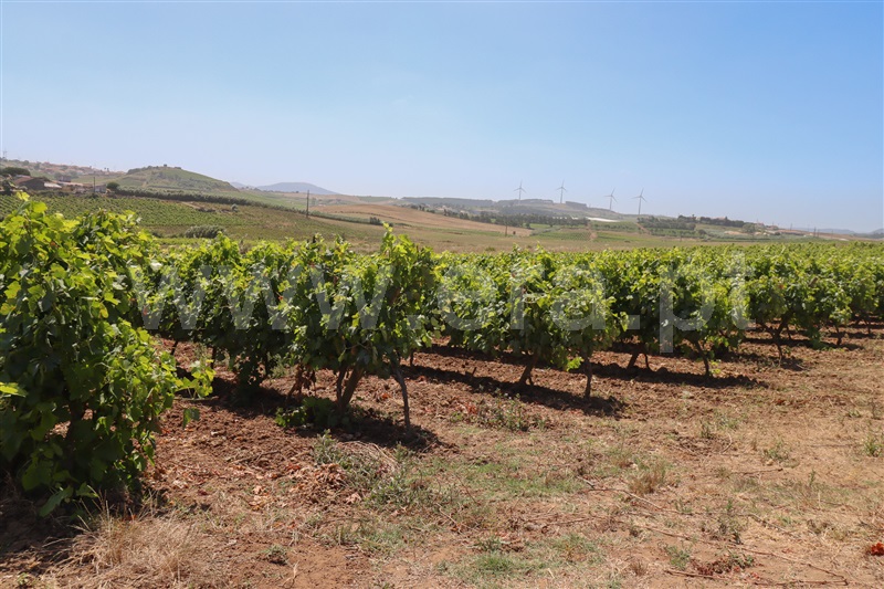 Moradia T3 Torres Vedras, Ventosa - 1492529 - 20
