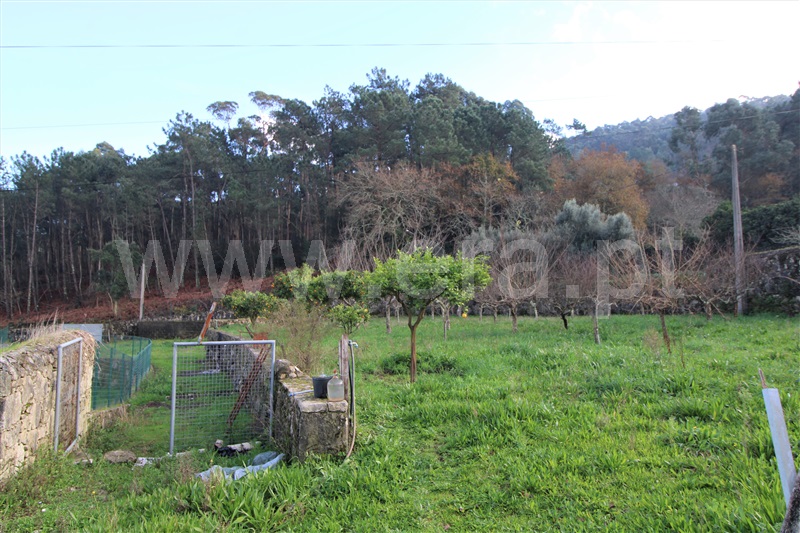Moradia T3 Viana do Castelo, Freixieiro de Soutelo - 1141462 - 16