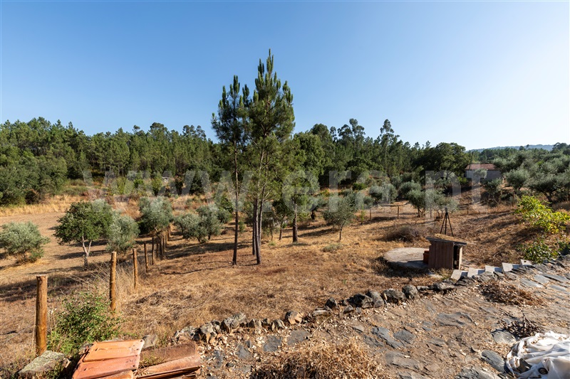Moradia T3 Vila de Rei - 1496472 - 17