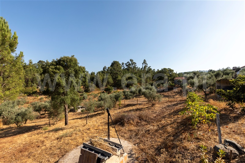 Moradia T3 Vila de Rei - 1496472 - 18