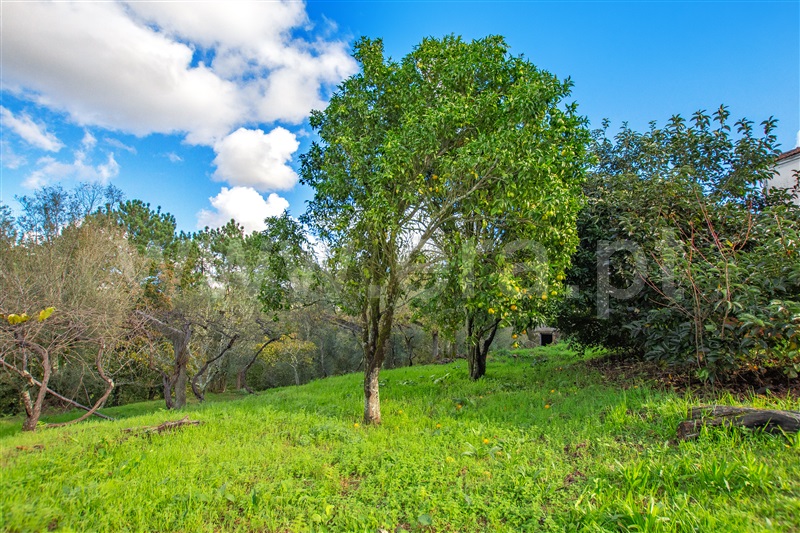 Moradia T3 com Terreno Vila Nova de Cerveira, Cornes - 1333407 - 31