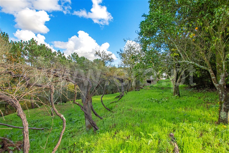 Moradia T3 com Terreno Vila Nova de Cerveira, Cornes - 1333407 - 33