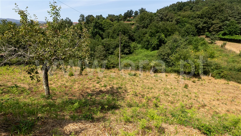 Moradia T3 Vila Nova de Cerveira, Mentrestido - 1494751 - 20