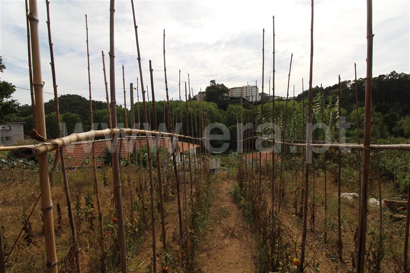 Moradia T3 com Terreno Vila Nova de Gaia, Avintes - 1351969 - 6