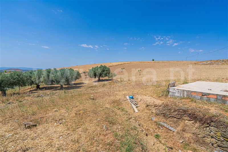 Moradia T3 Vimioso, Algoso, Campo de Víboras e Uva - 1489960 - 13