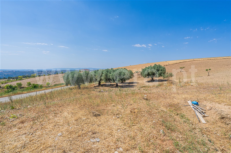 Moradia T3 Vimioso, Algoso, Campo de Víboras e Uva - 1489960 - 14