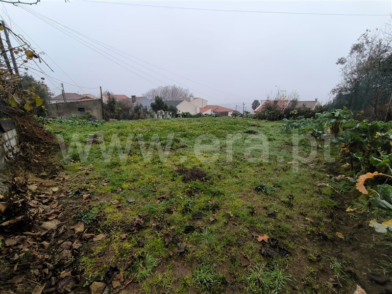 Moradia T3 Viseu, Cavernães - 1454185 - 7