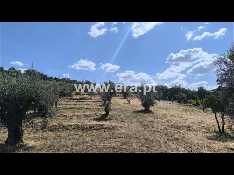 Moradia T4 à venda em Alvega e Concavada, Abrantes — foto 5