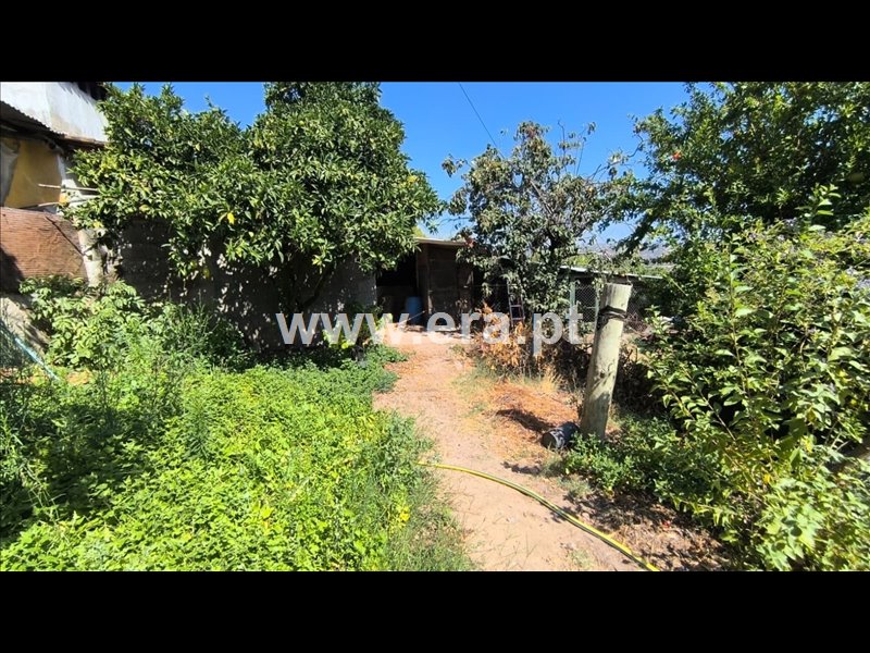 Moradia T4 à venda em Alvega e Concavada, Abrantes — foto 16
