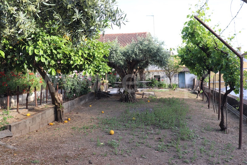 Moradia T4 à venda em Barreiras do Tejo, Abrantes — foto 2