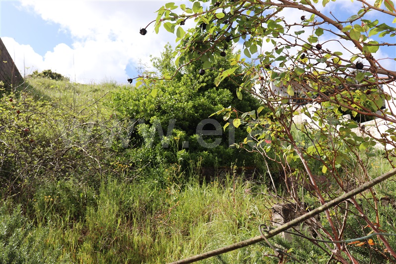 Moradia Geminada T4 Abrantes, Bemposta - 1396771 - 6