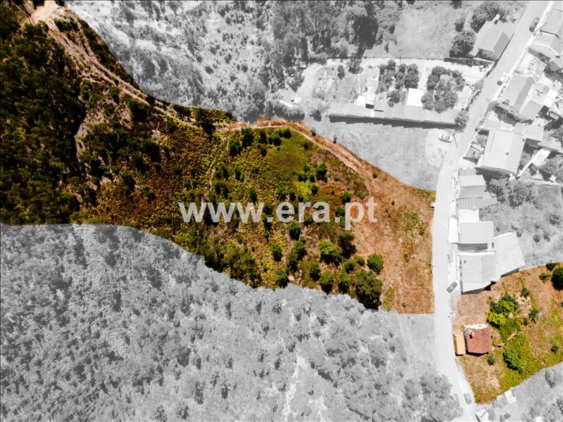 Moradia T4 à venda em Carvalhal, Abrantes — foto 4