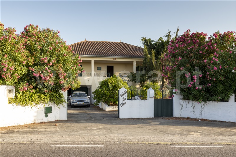 Moradia T4 Abrantes, Casa Branca - 1011365 - 2