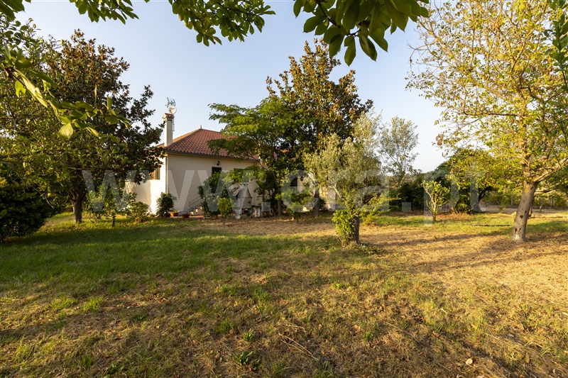 Moradia T4 Abrantes, Casa Branca - 1011365 - 15