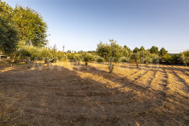 Moradia T4 Abrantes, Casa Branca - 1011365 - 16