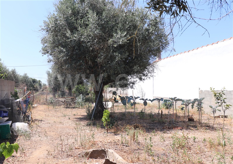 Moradia T4 Abrantes, Casais de Revelhos - 1484140 - 9
