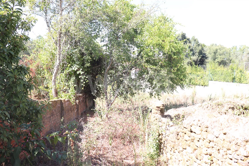 Moradia  Abrantes, Souto - 1420542 - 5