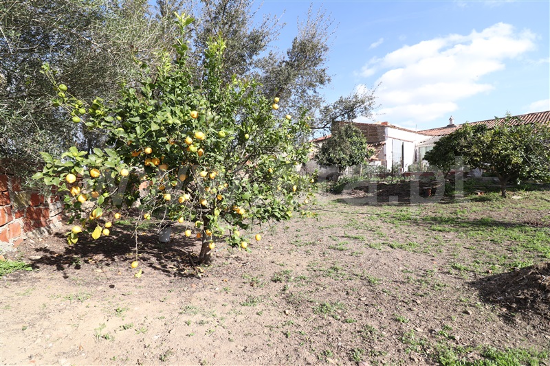 Moradia T4 Aljustrel, Aljustrel e Rio de Moinhos - 1308496 - 45